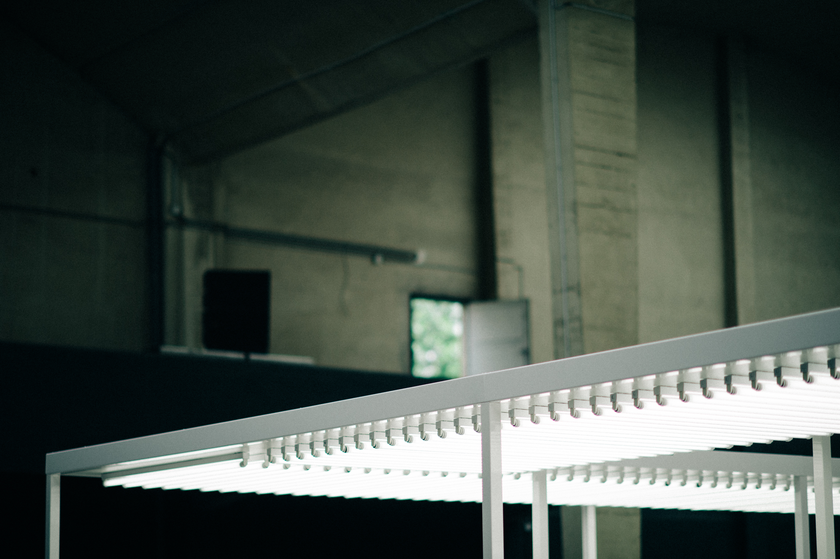 Fluorescent-Lighting-Installation-Fashion-Show