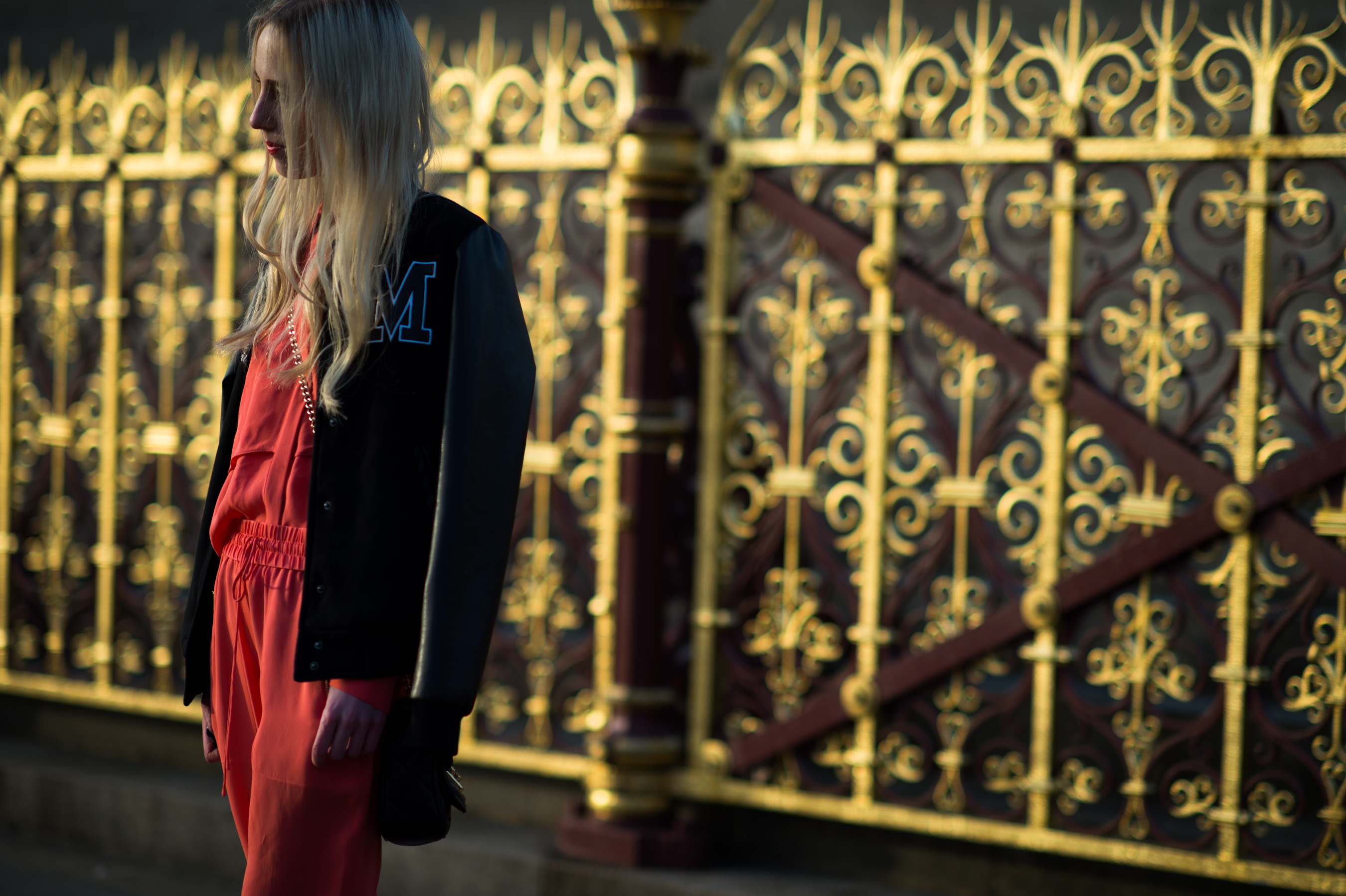 Dutch blogger gold Hyde Park gate