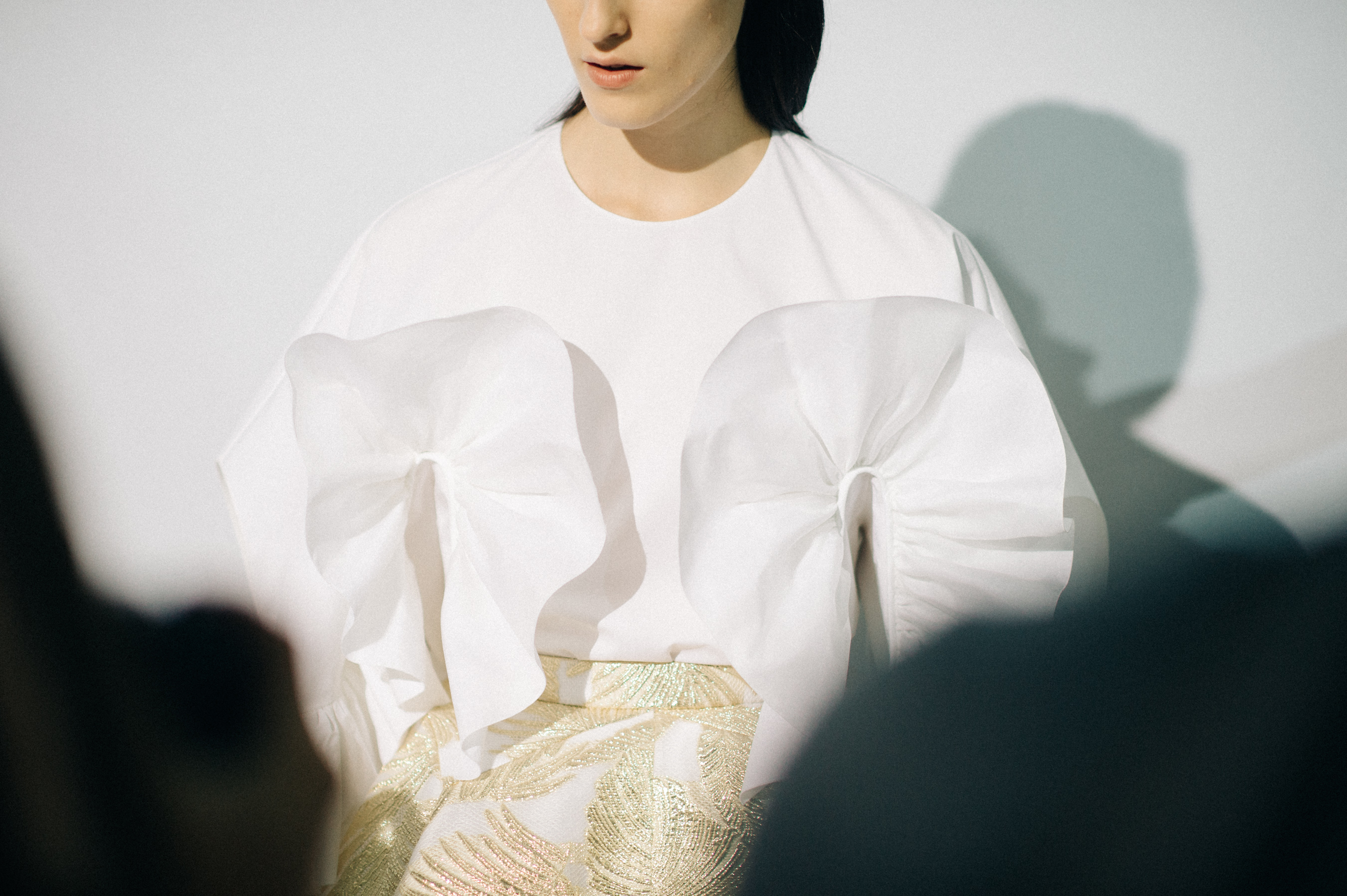 Model before the show
