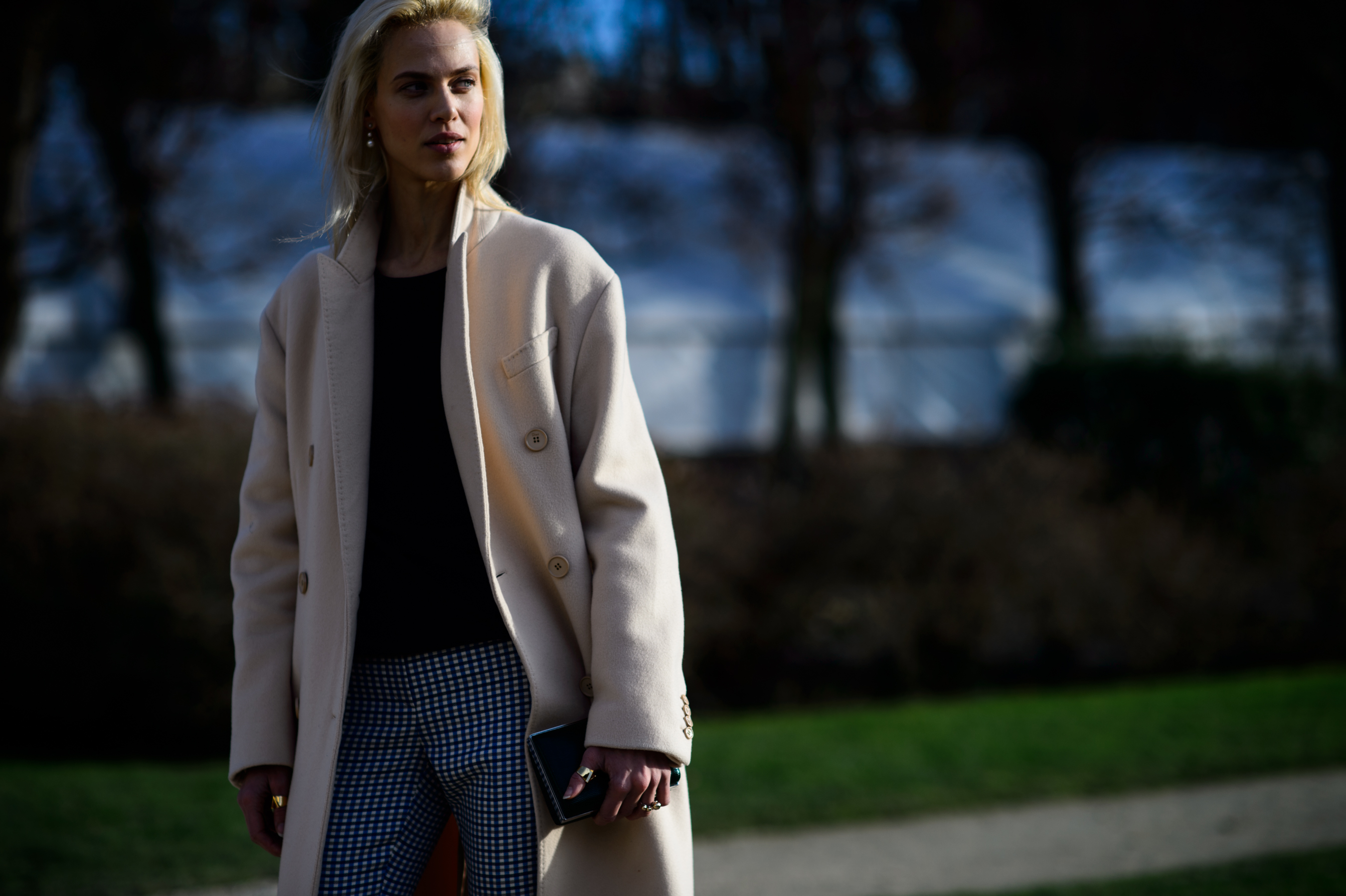 French model after Dior