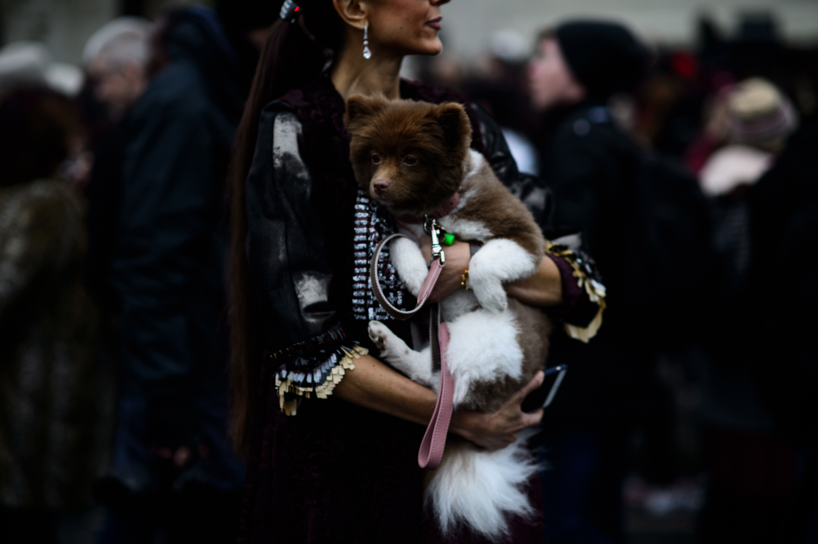 Woman holding dog after the show