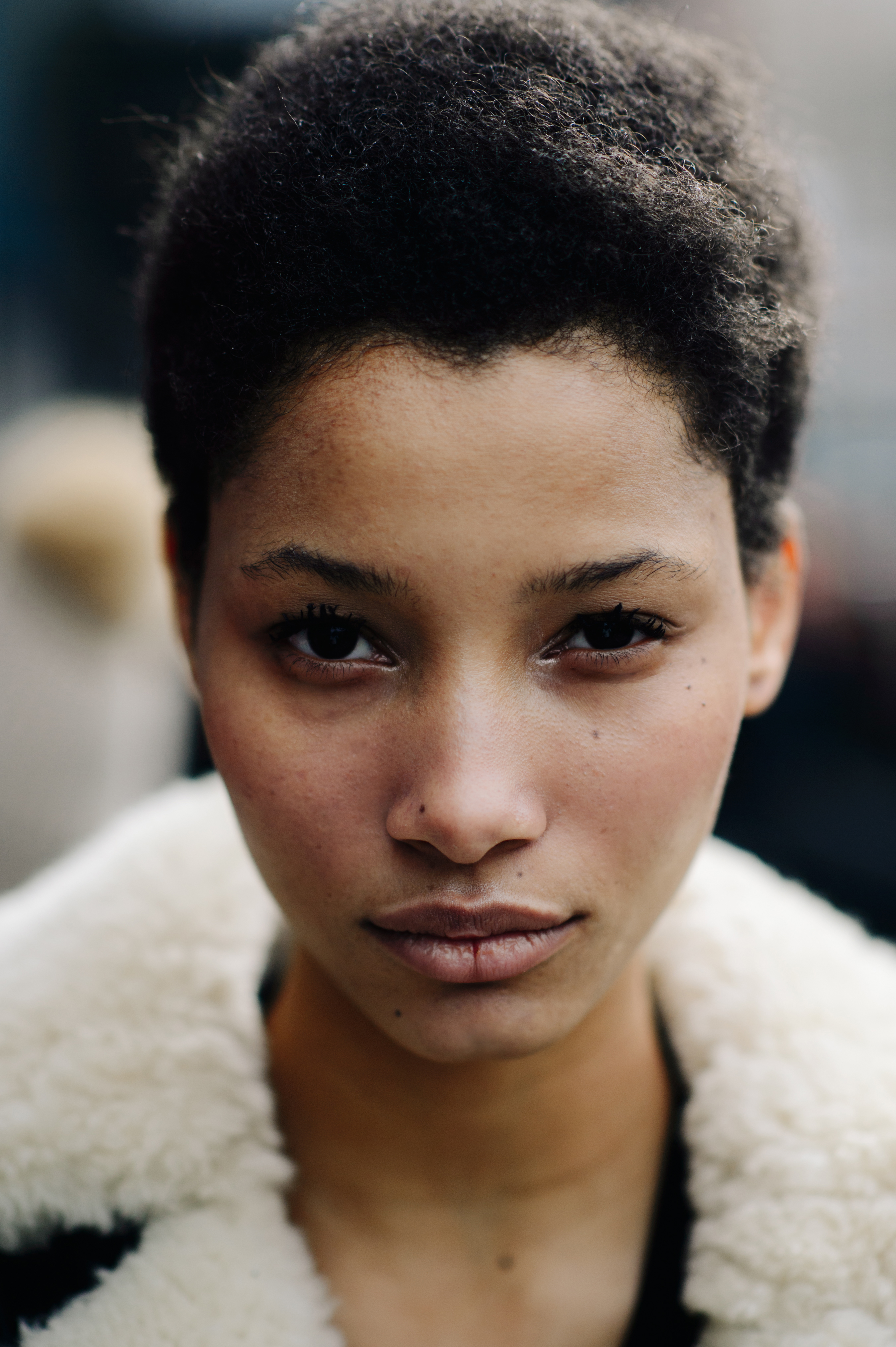 Portrait of Dominical model