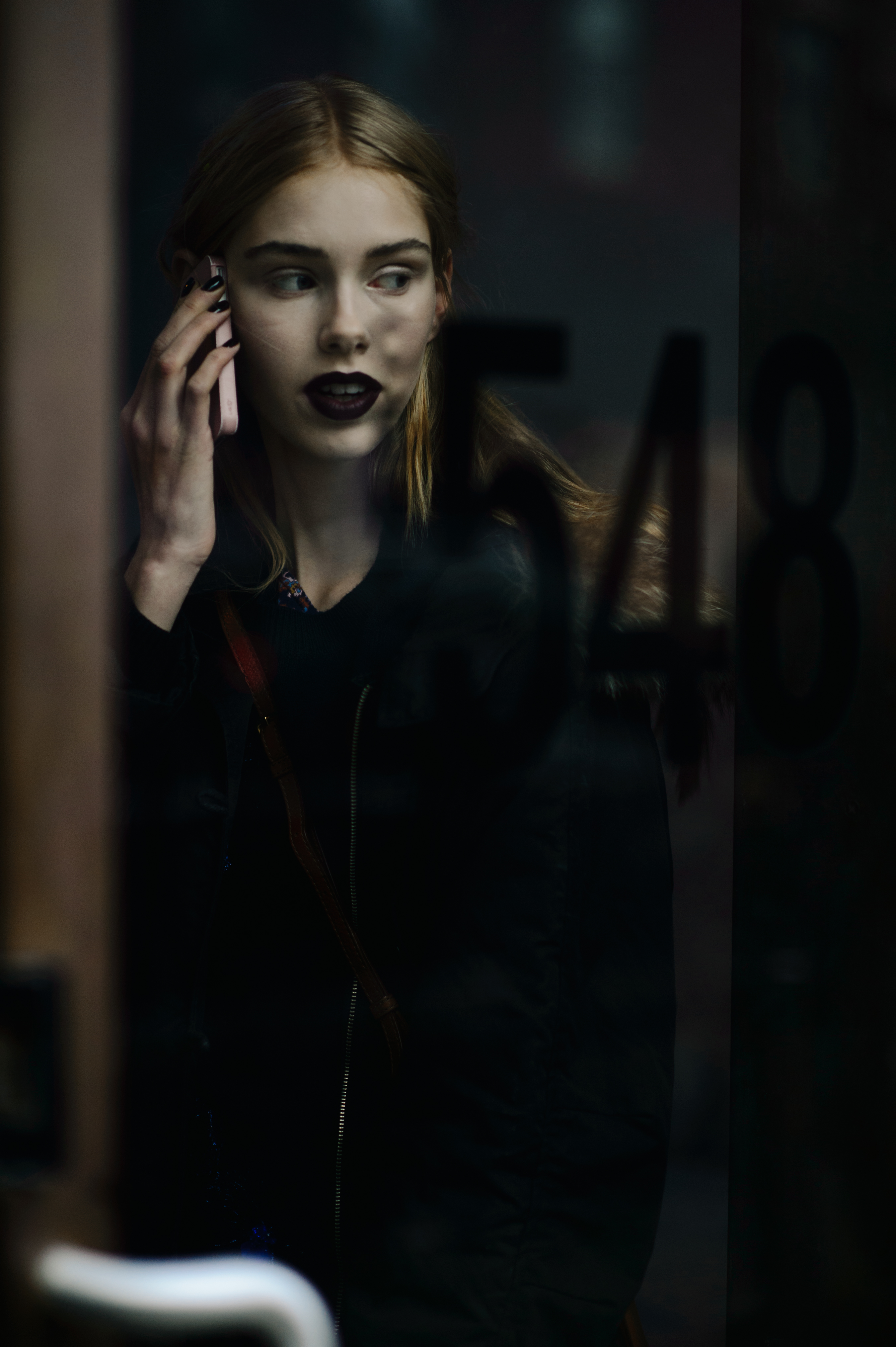 Danish model