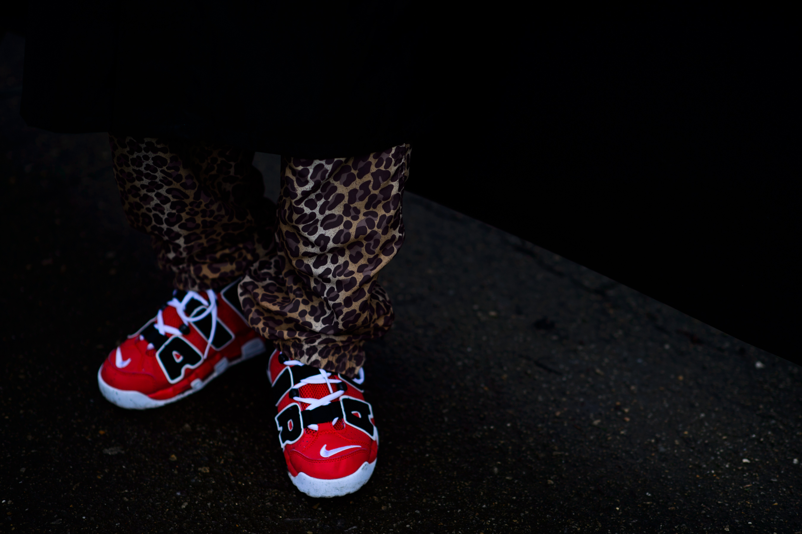 Korean photographer leopard pants
