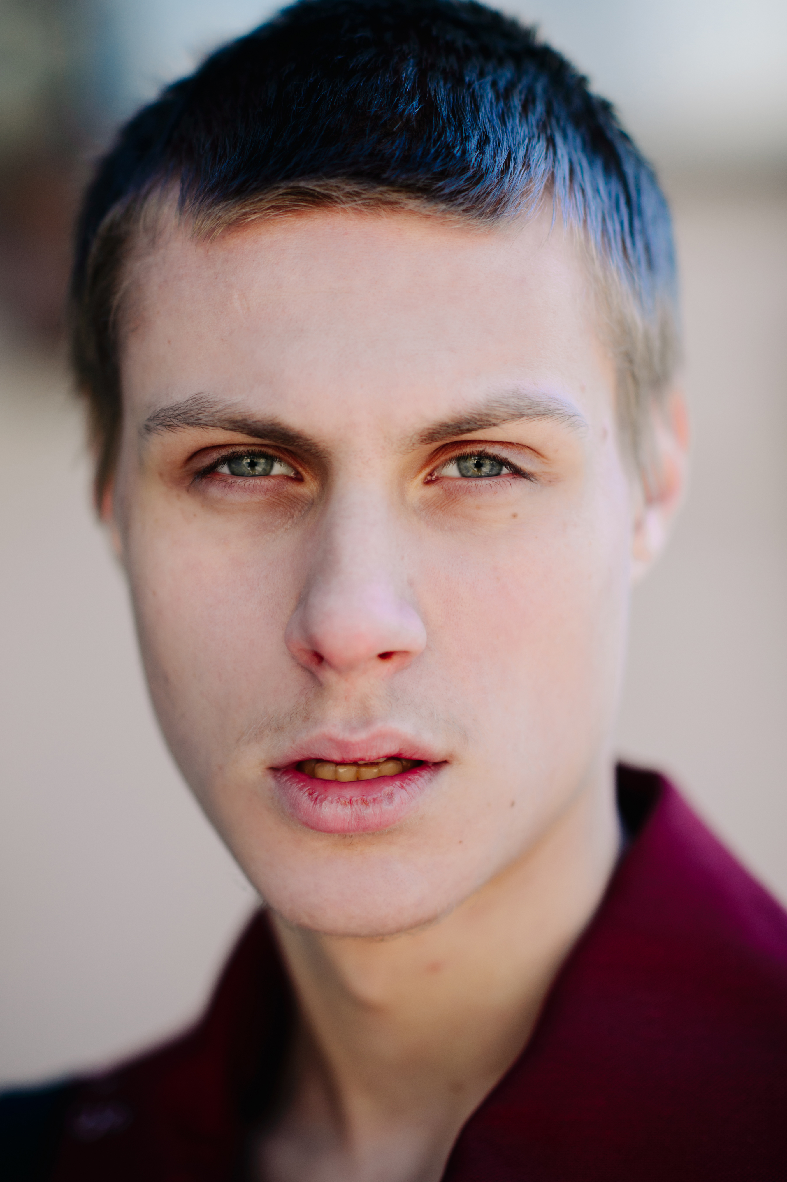 Portrait of a Russian artist