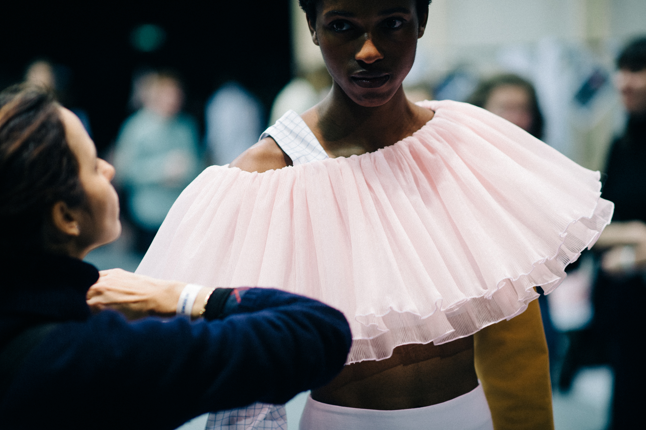 Model during fitting before show