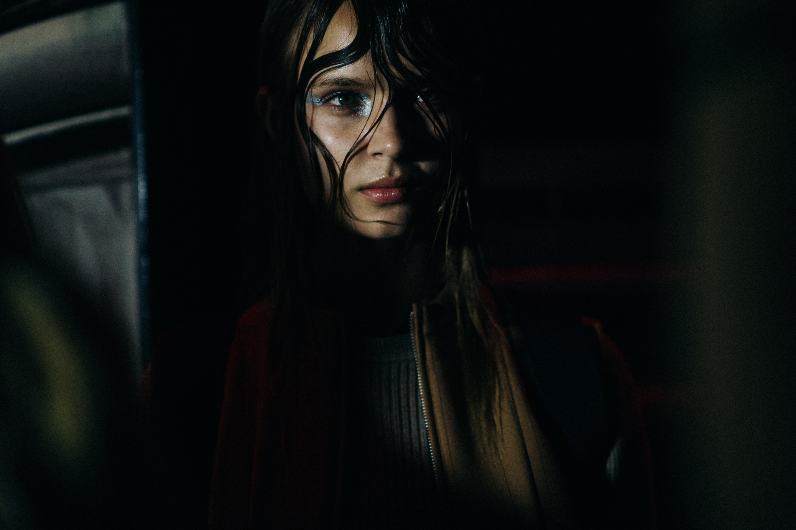 Danish supermodel with silver makeup