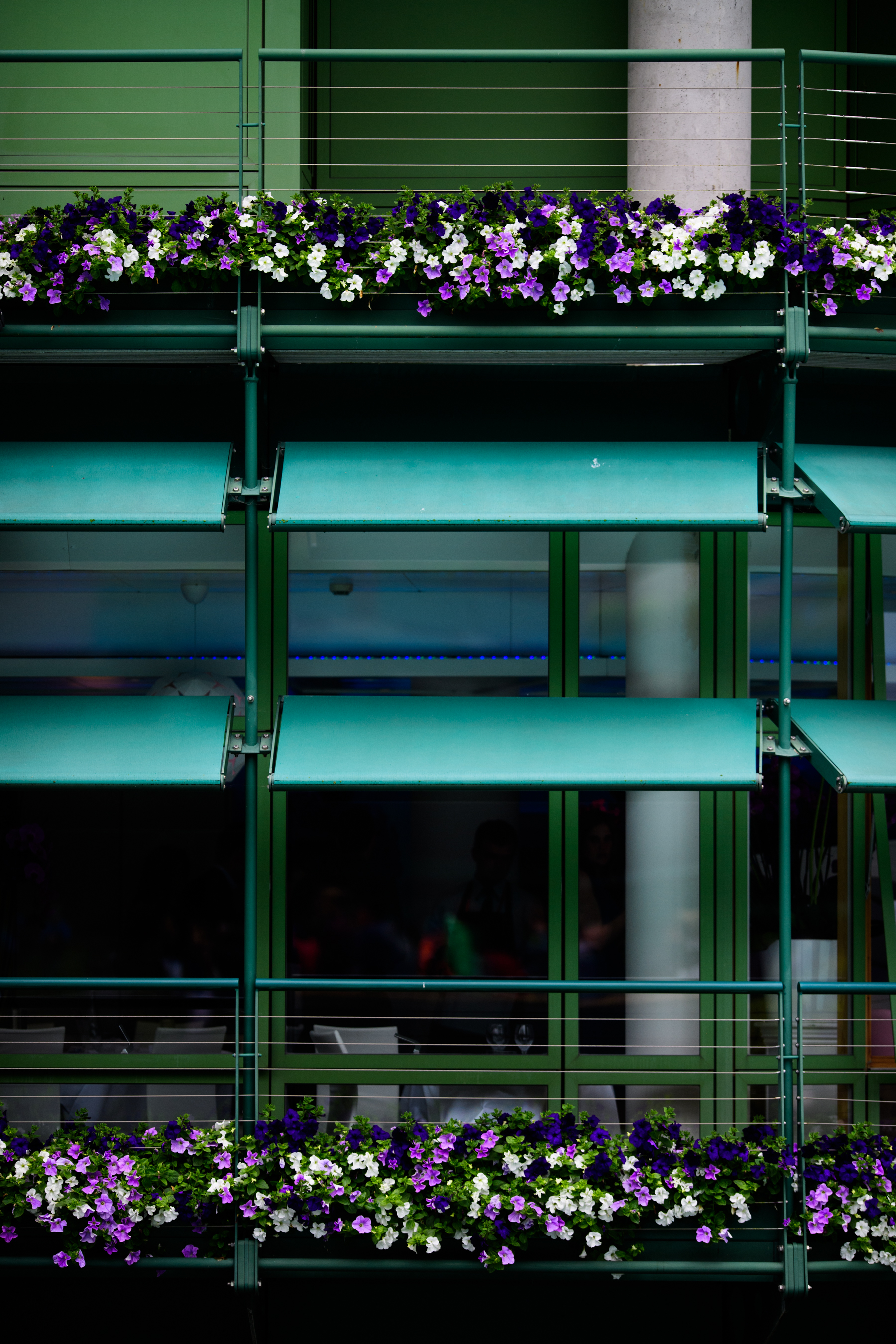 White and purple flowers on green facade