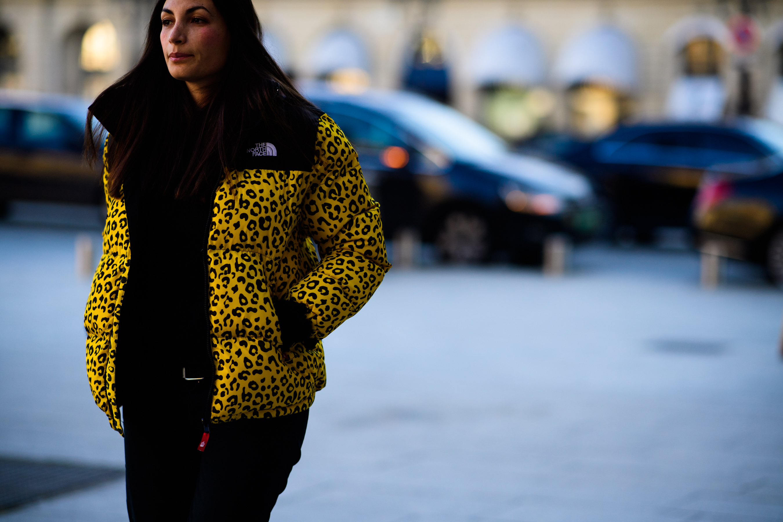Woman wearing The North Face jacket