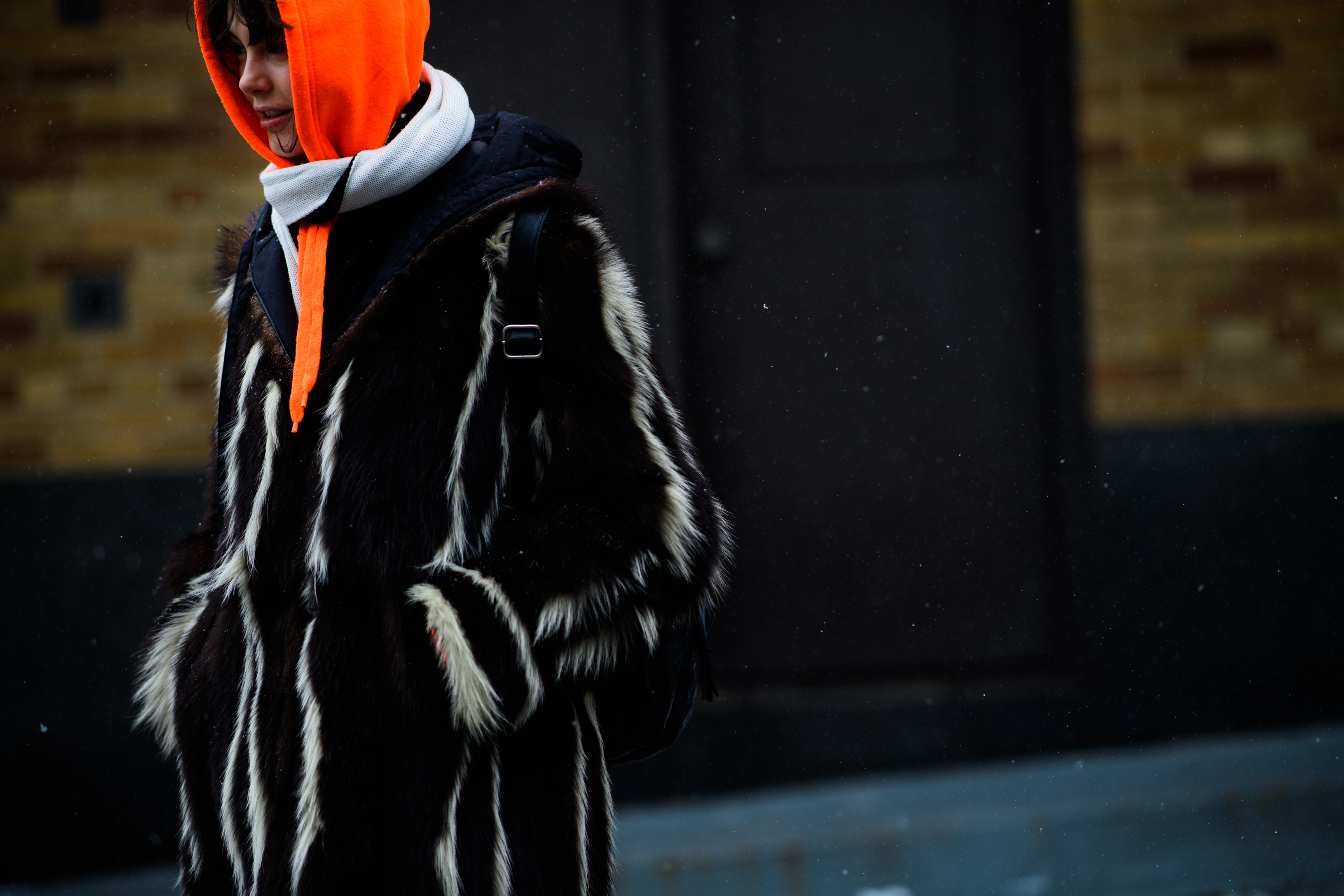 Woman wearing striped fur coat