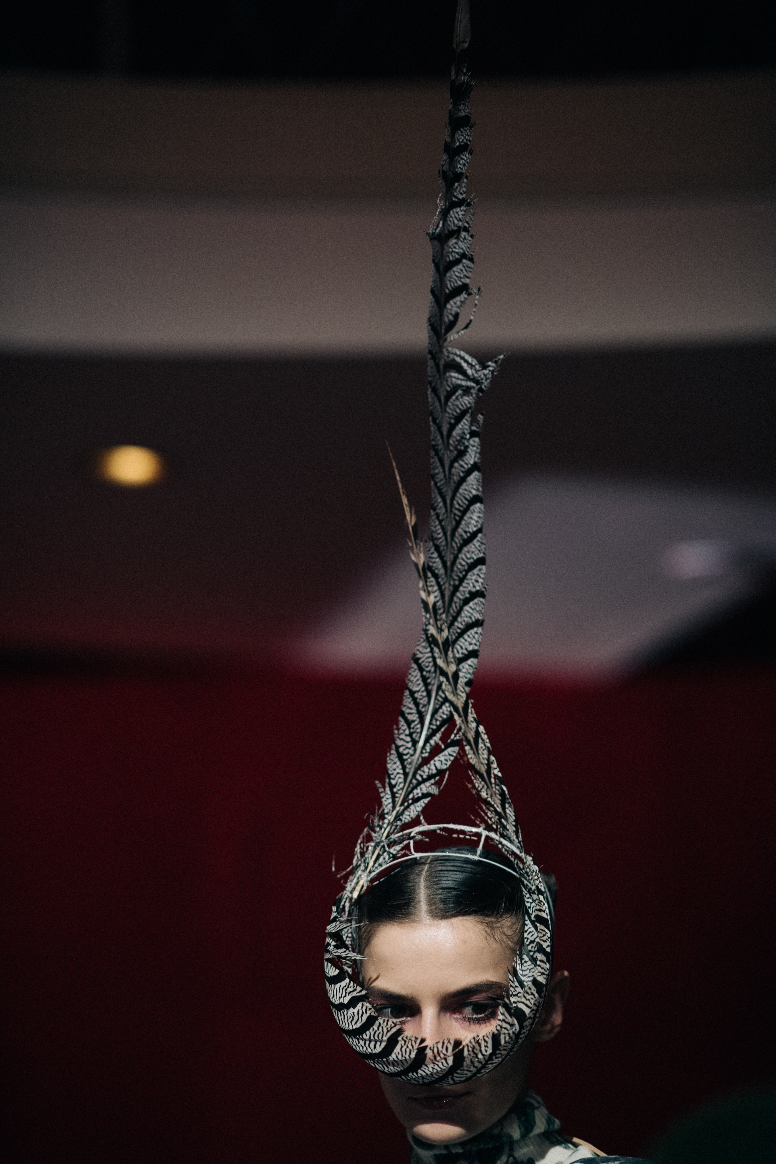 Model Dasha Denisenko wearing feathers
