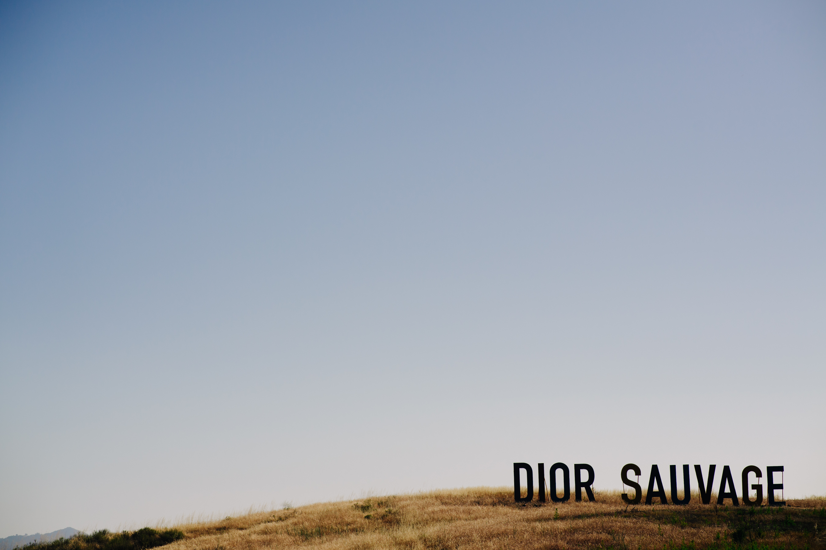 Picture of a wild desert landscape
