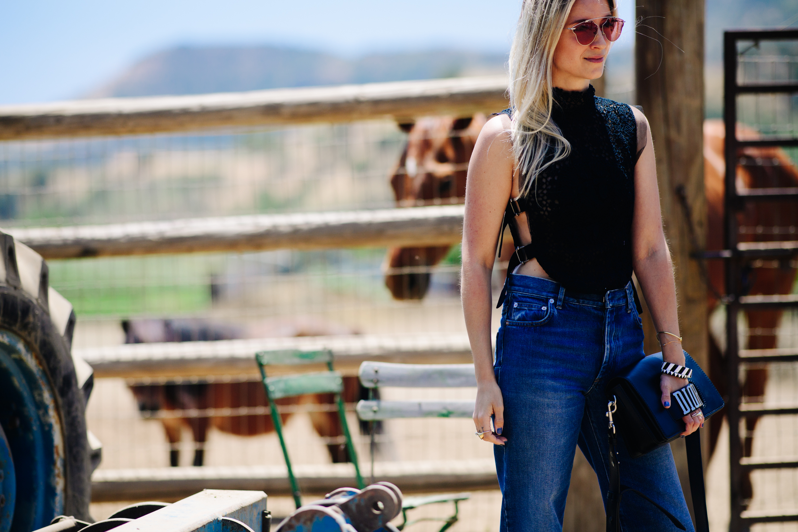 Blogger wearing Christian Dior