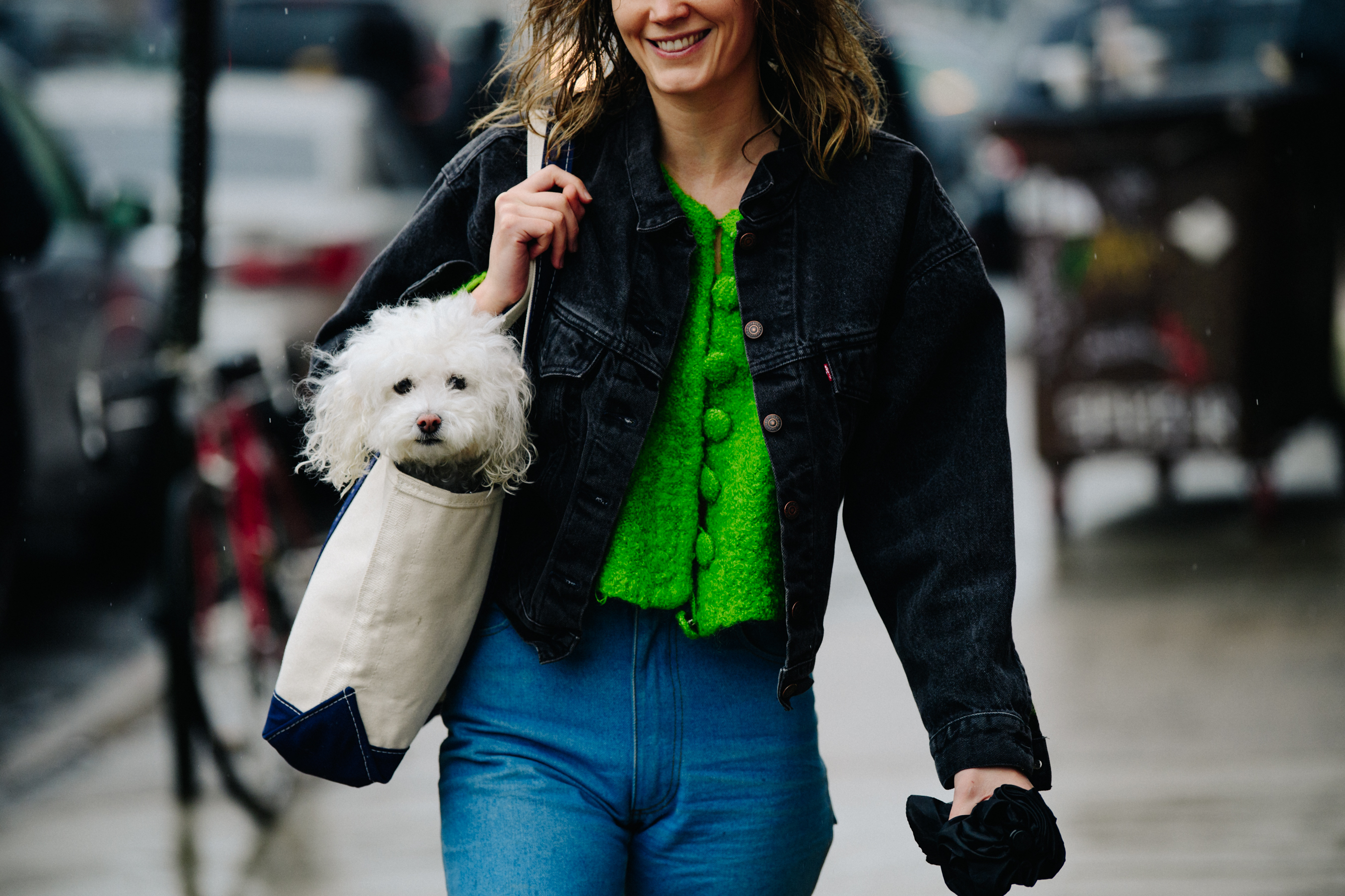 Woman carrying dog in bag