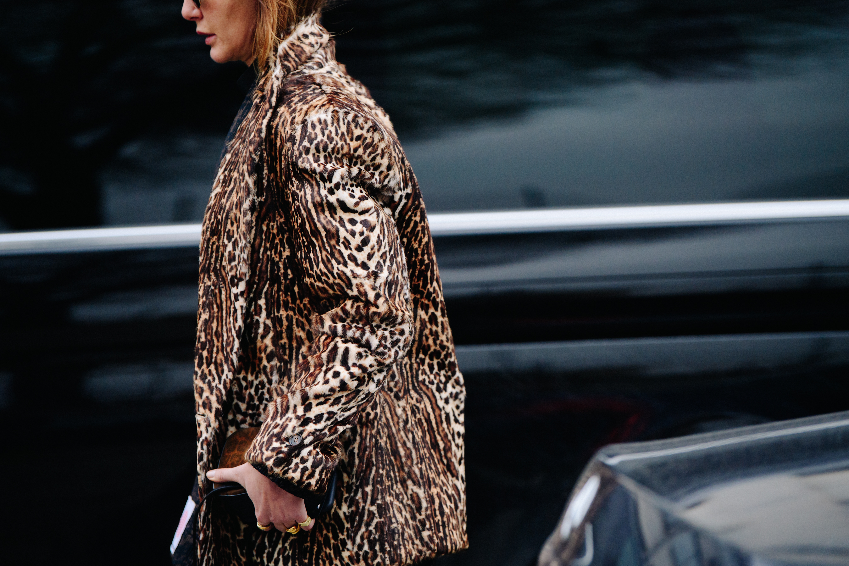 Woman wearing animal print jacket