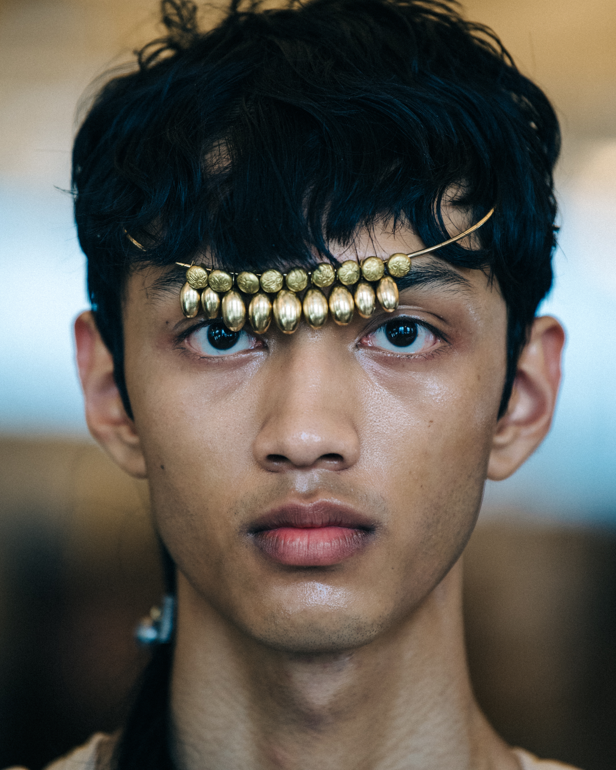 Portrait of model with metal hair accessories