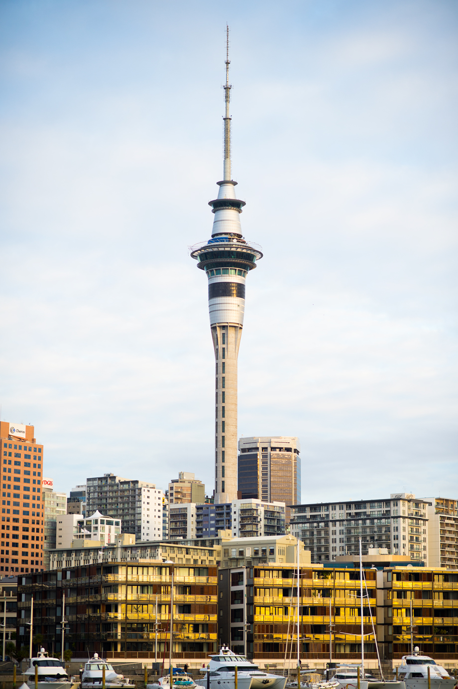 Sky Tower viewed from Viaduct Events Centre