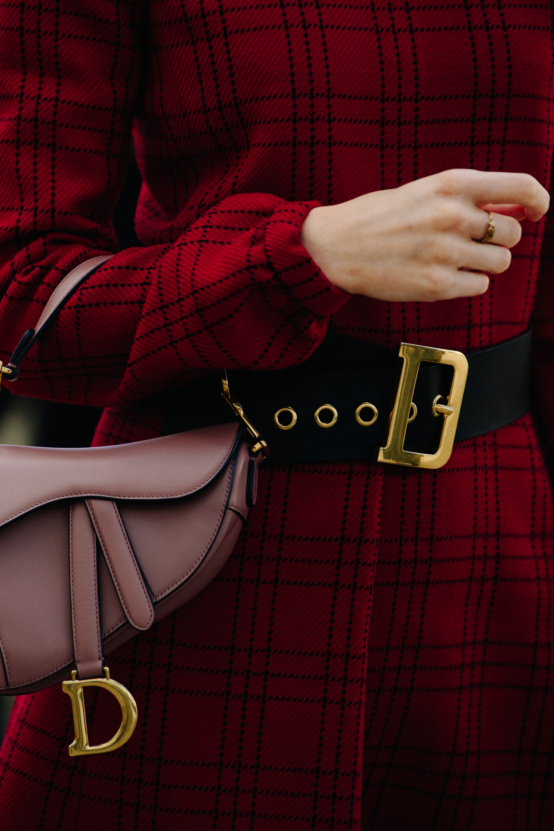 Woman carrying Christian Dior bag