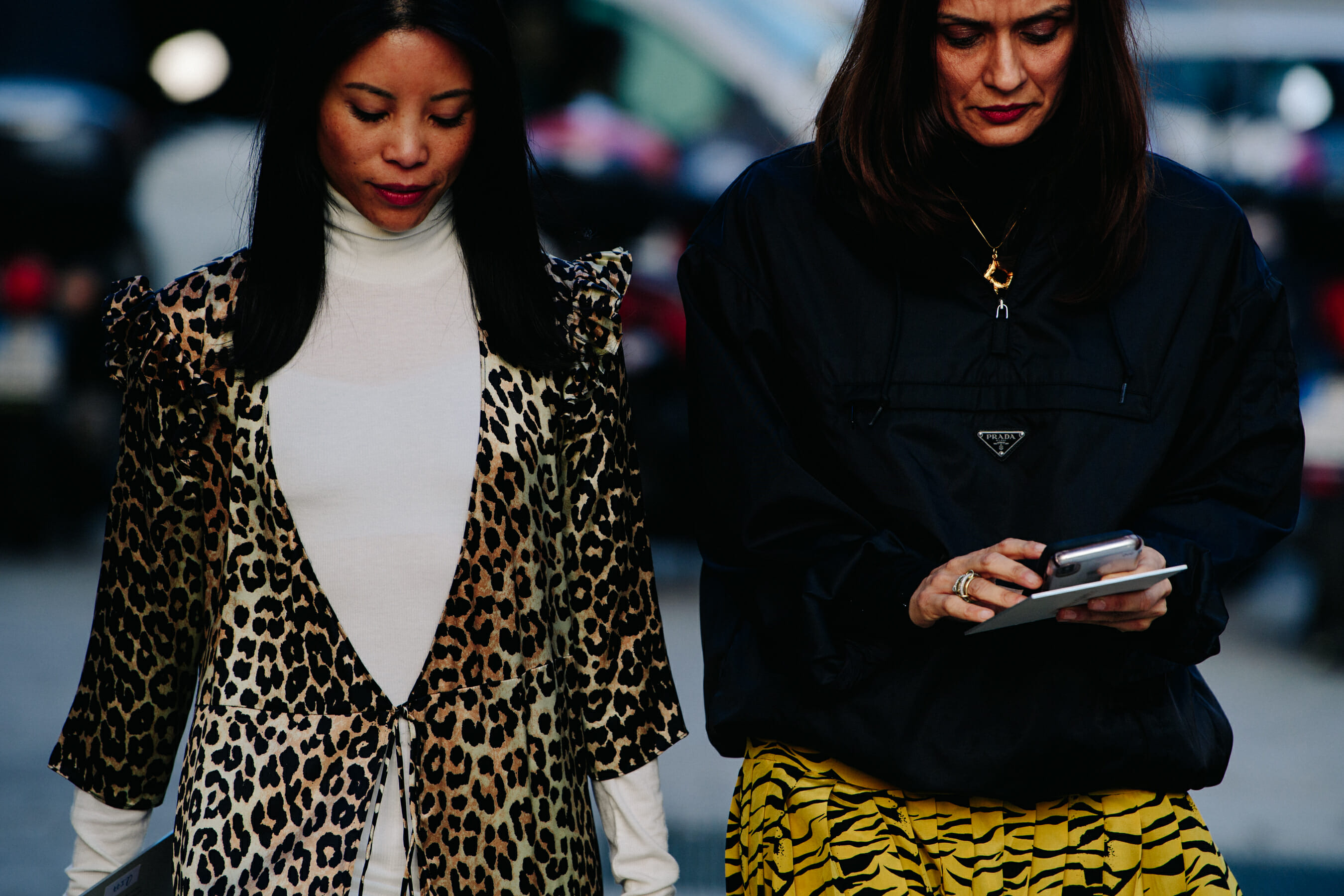 Two women wearing animal print