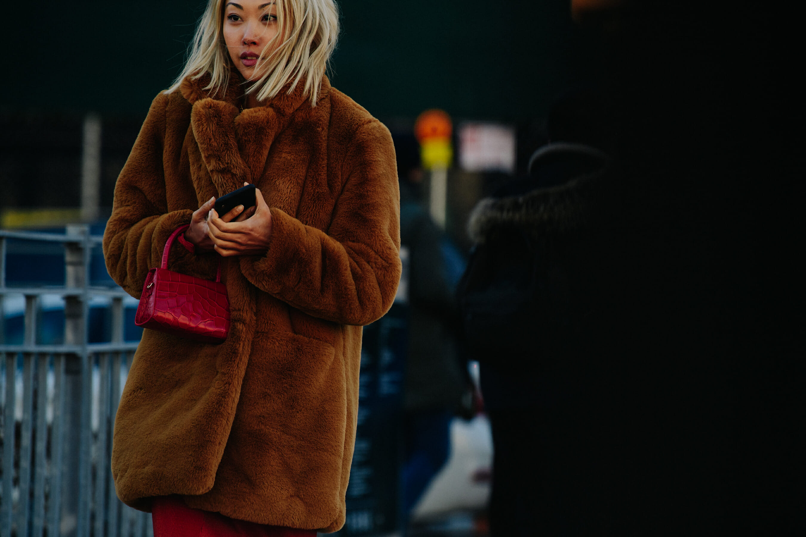 Woman wearing brown fur coat