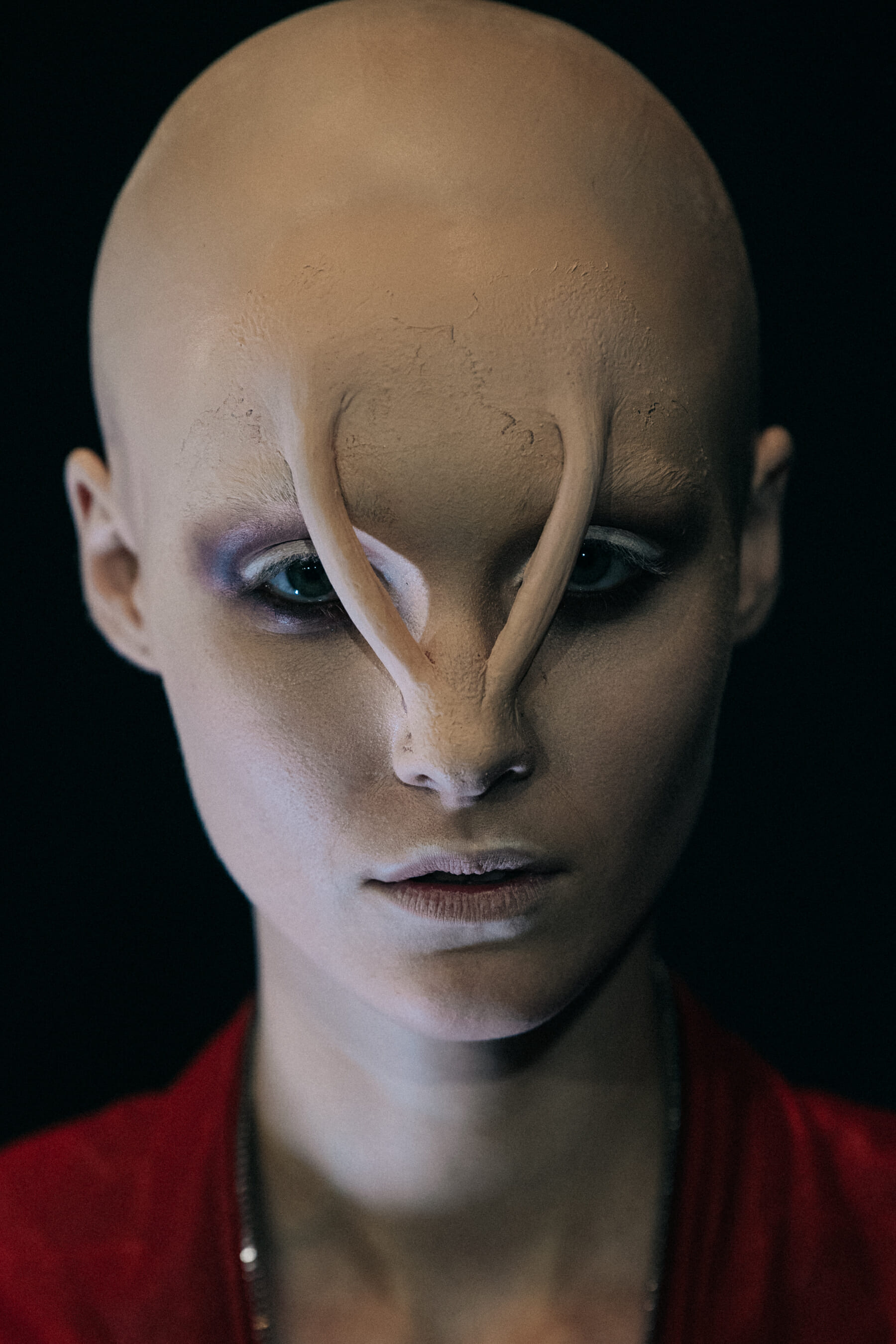 Portrait of model with facial modifications