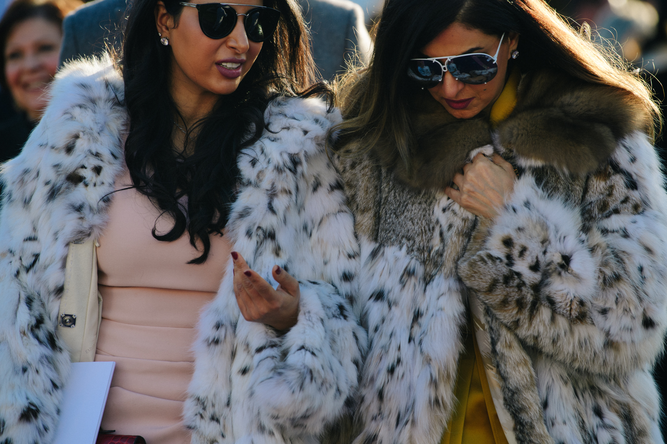 Two women wearing fur
