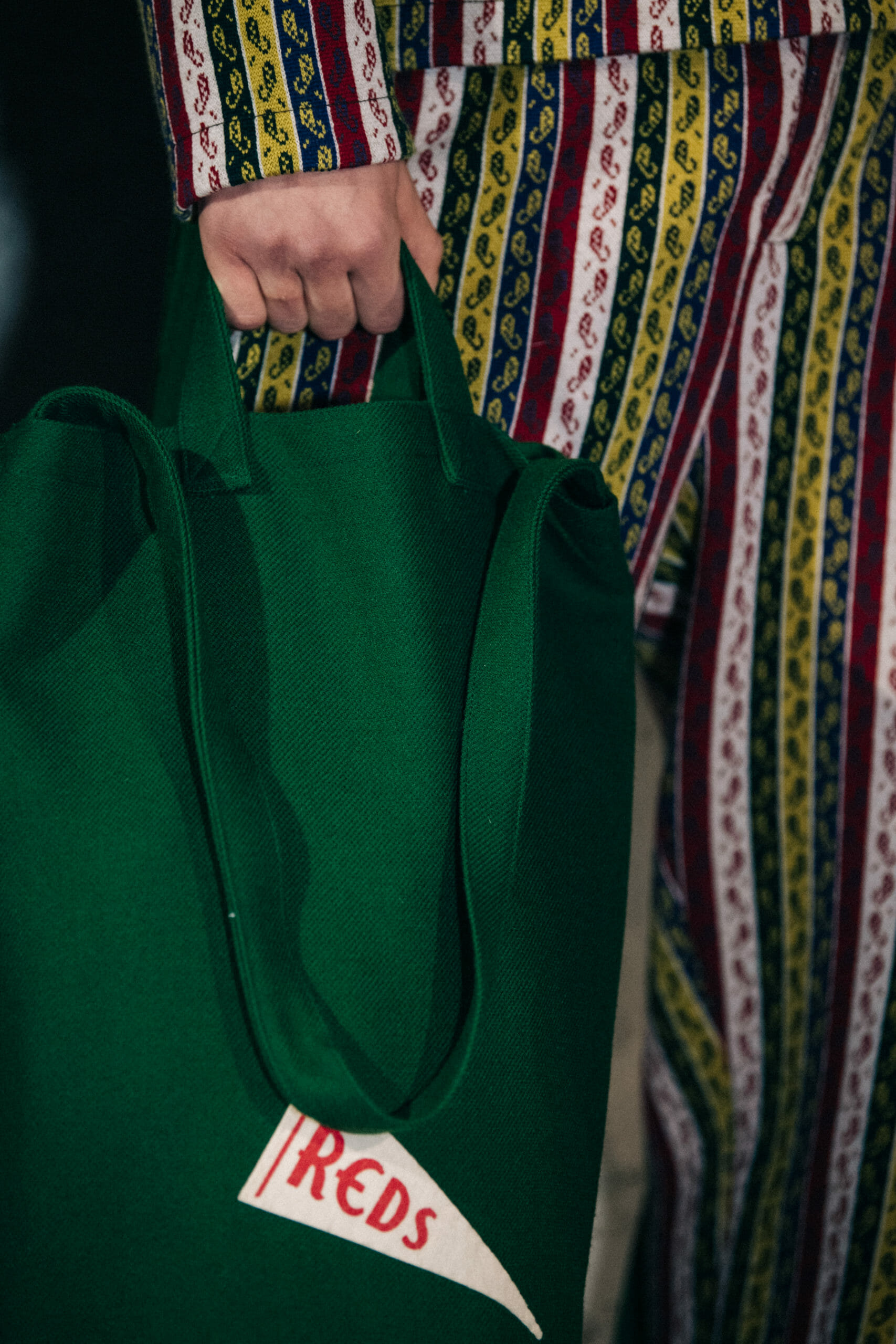 Model carrying Bode bag