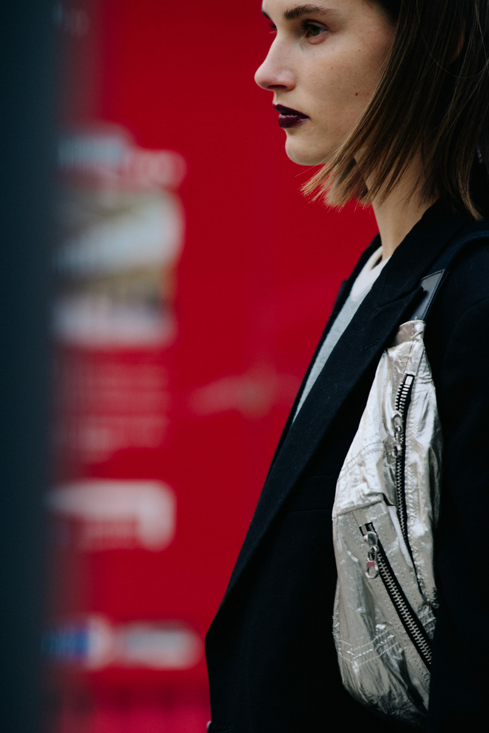 Model carrying silver bag