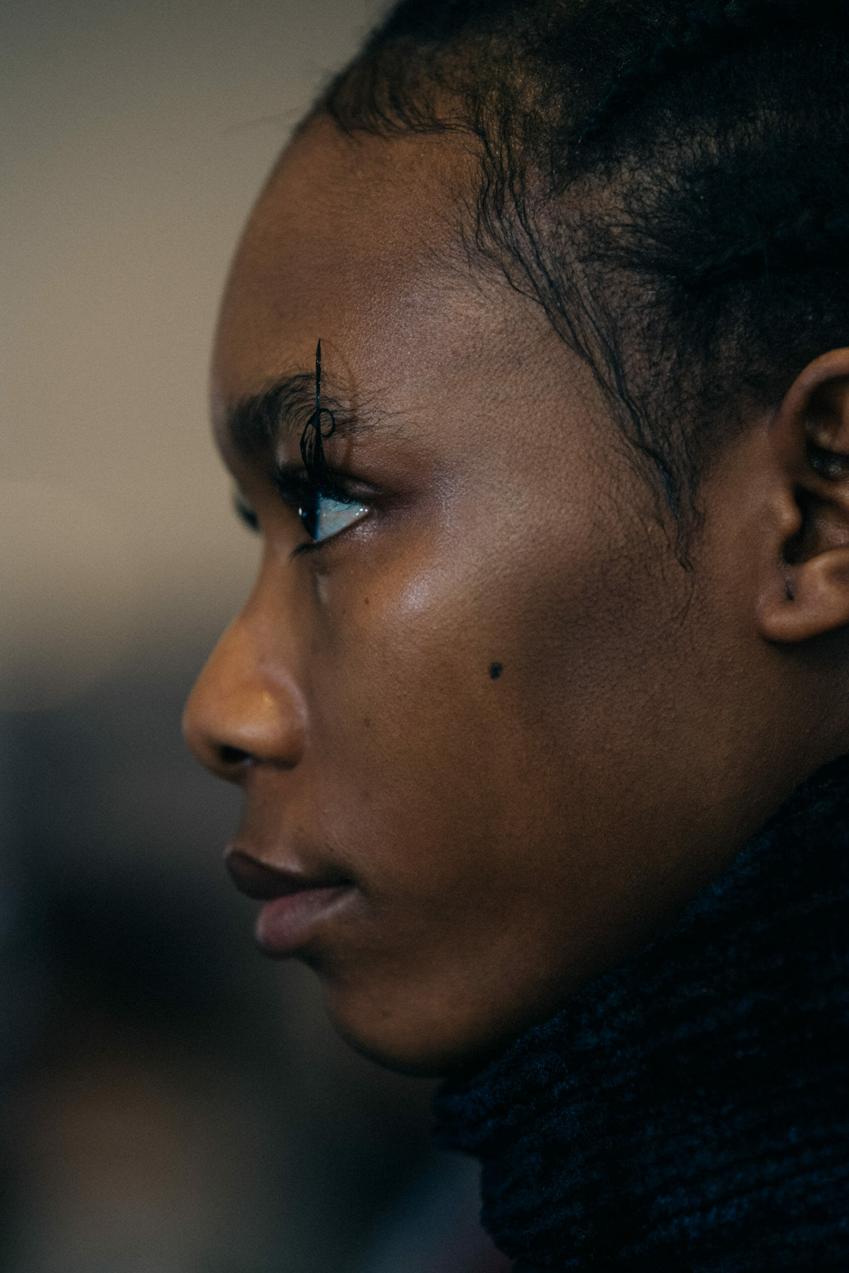 Model with dark braided hair