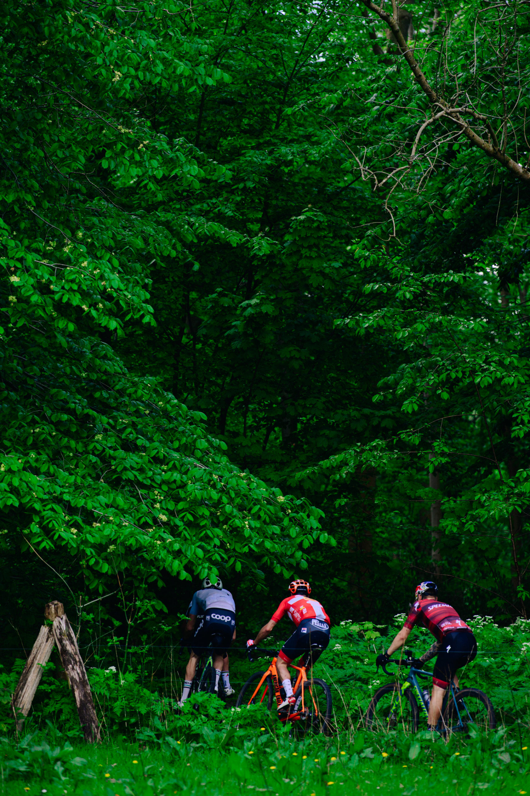 Pas Normal Studios Gravel Race